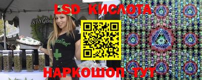 молекула духа Владимир