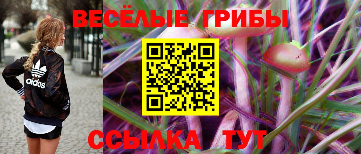 Галлюциногенные грибы Magic Shrooms Полысаево